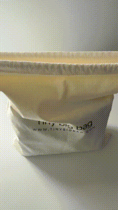 New! CELINE the versatile bag